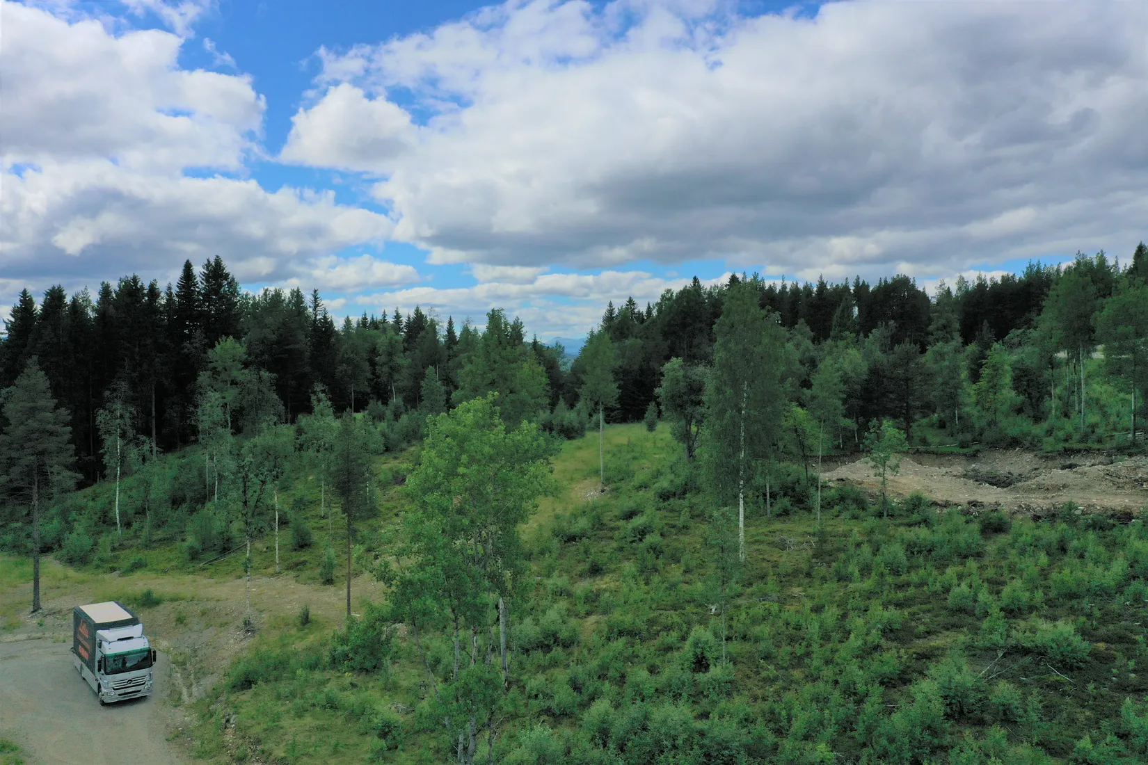 Tomt, Högåsvägen 8, Härjedalen