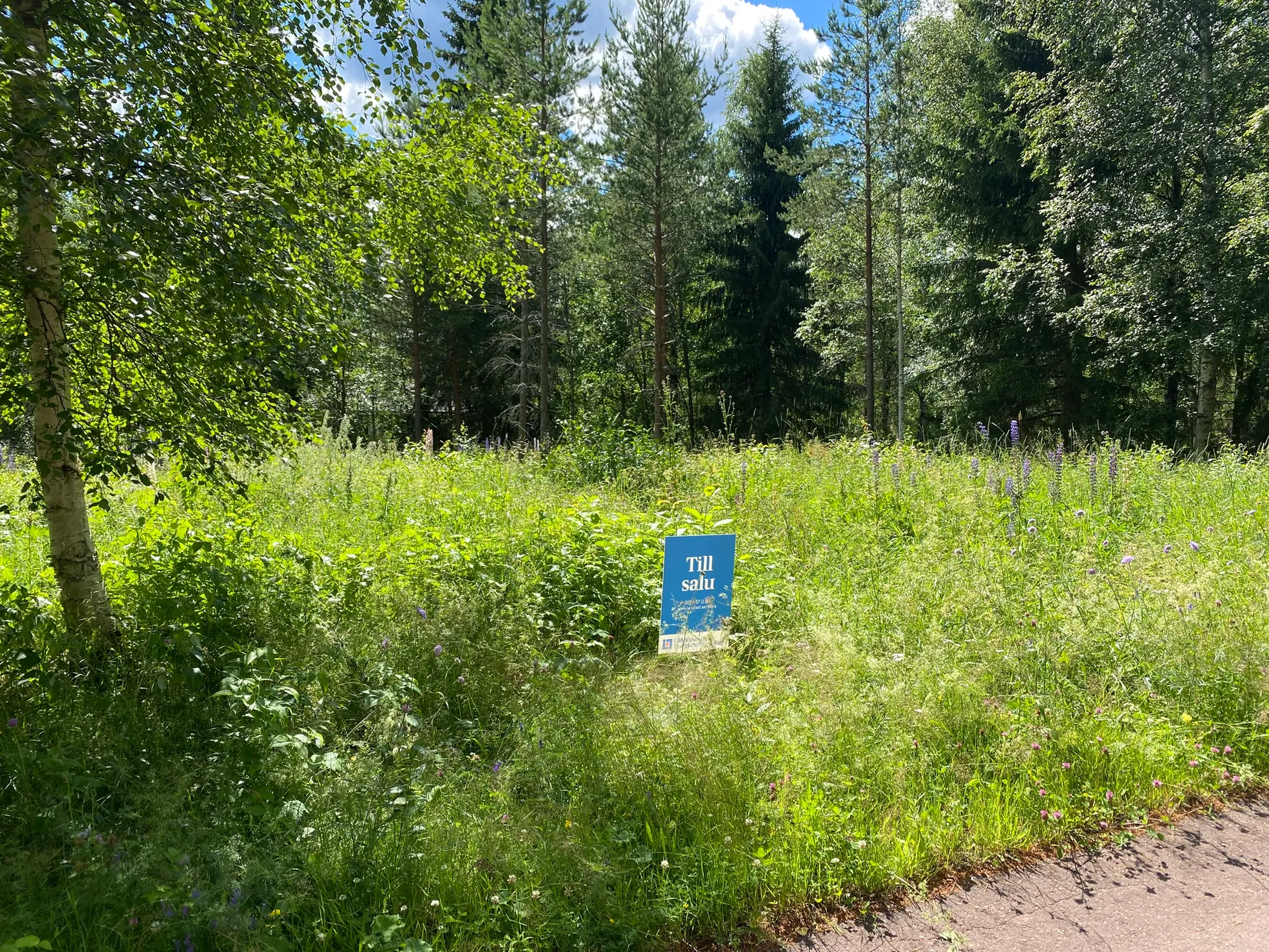 Tomt, Lundholmsvägen 3, Östermyckeläng, Älvdalen