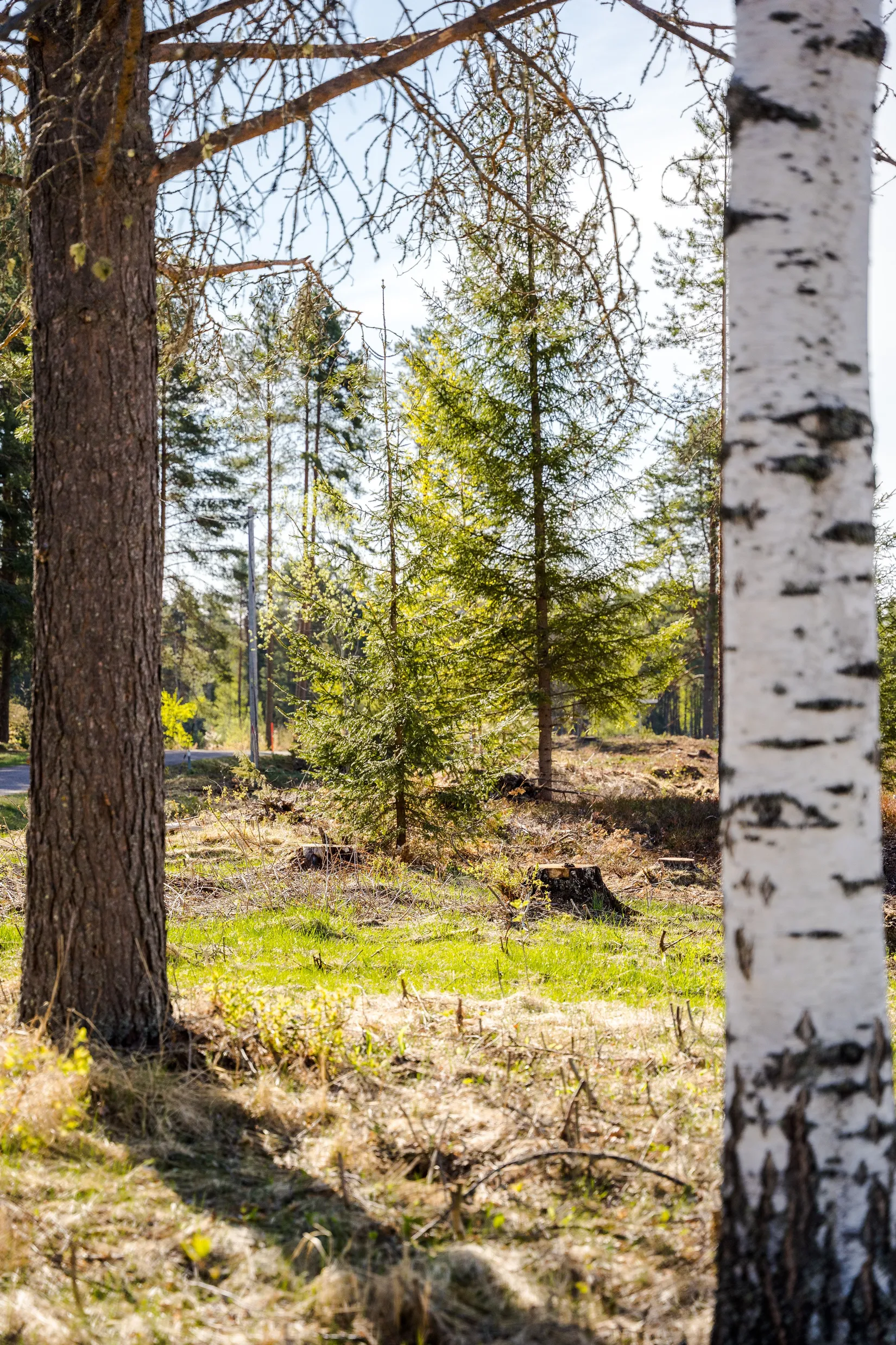 Tomt, Klocknäsvägen 51, Öna, Mora