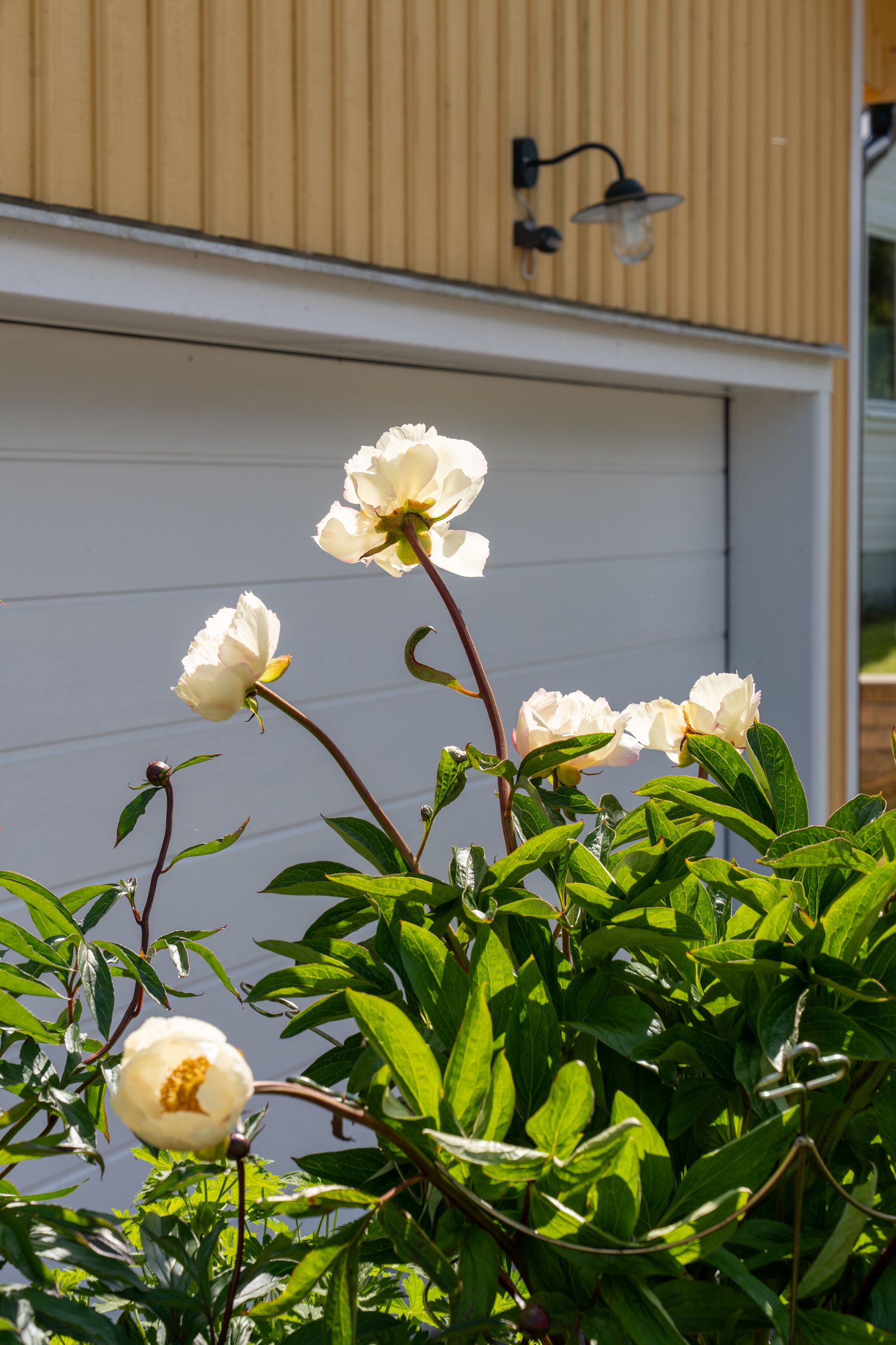 Villa, Sångarvägen 414, Vänersborg