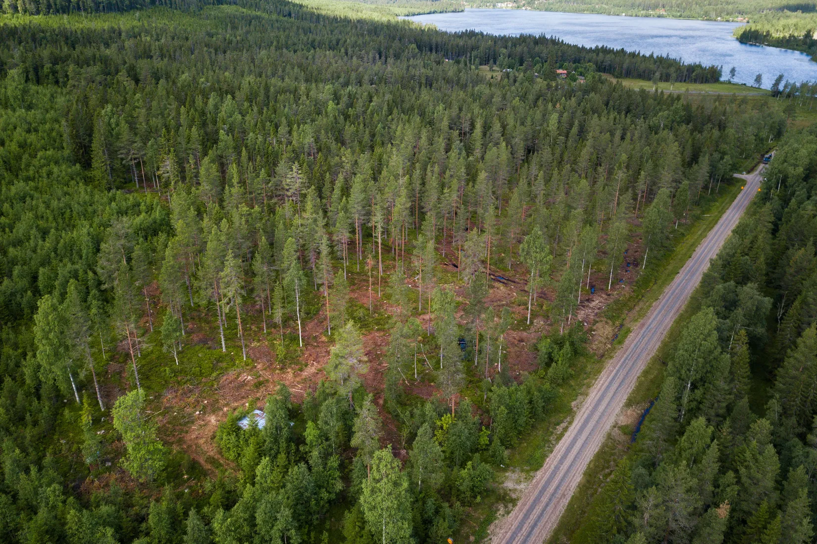 Tomt, Grönvallsvägen 54, Järvsö, Harsa, Ljusdal