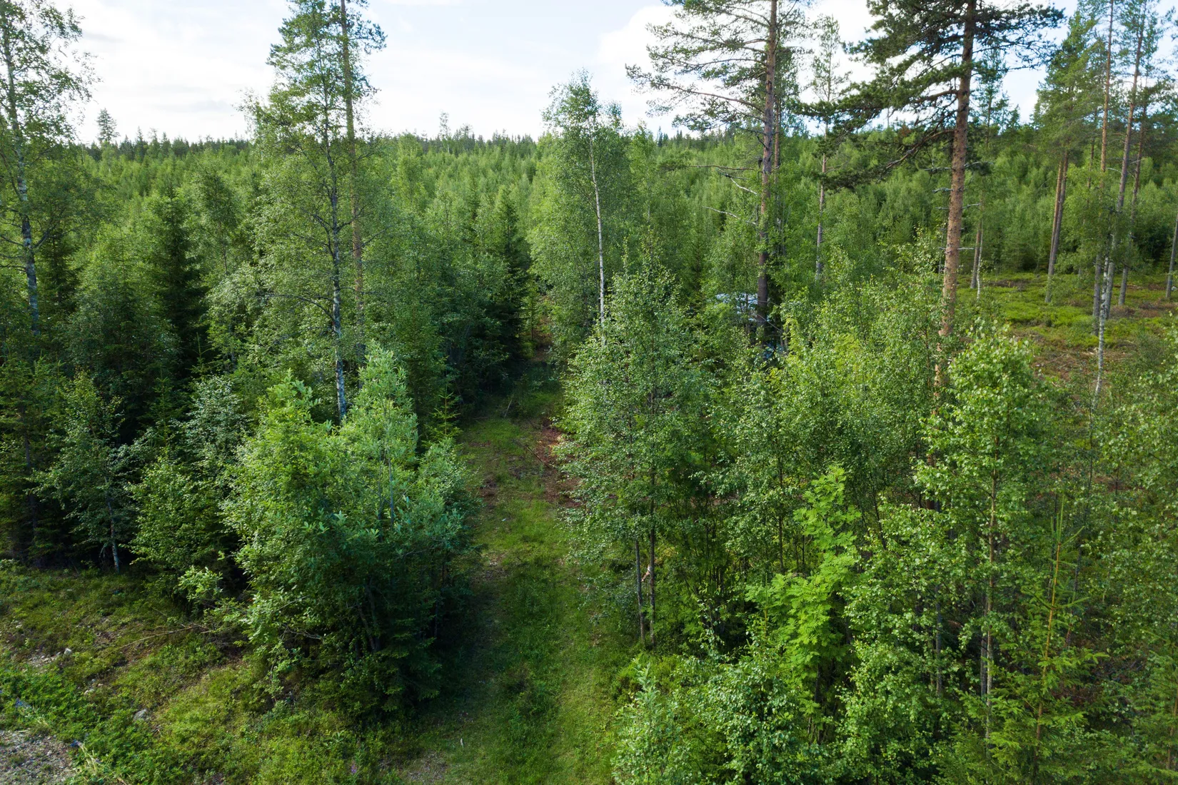 Tomt, Grönvallsvägen 54, Järvsö, Harsa, Ljusdal