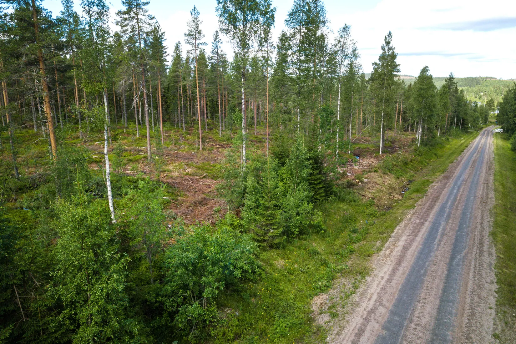 Tomt, Grönvallsvägen 54, Järvsö, Harsa, Ljusdal