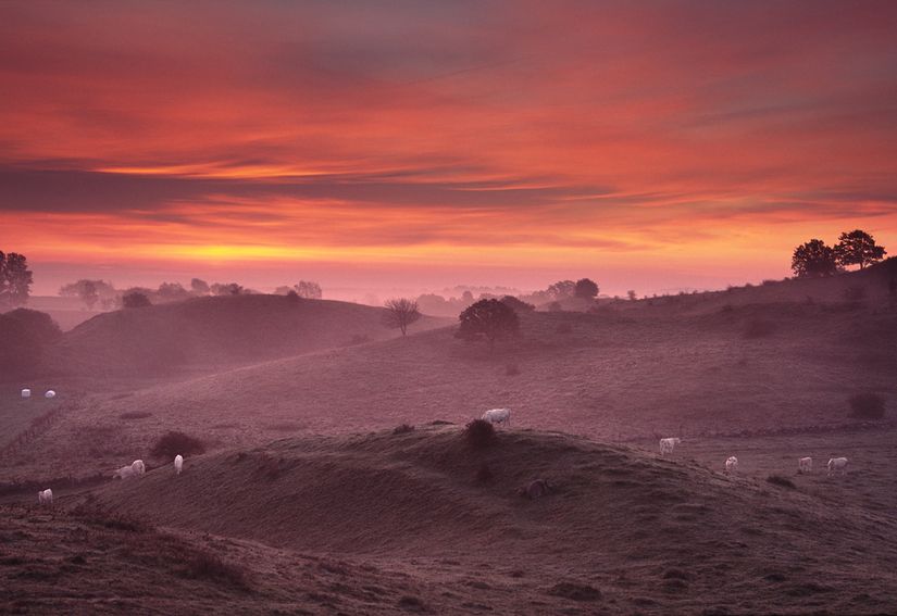 Tomt, Iris och Gurlis väg 8, Brösarp, Tomelilla