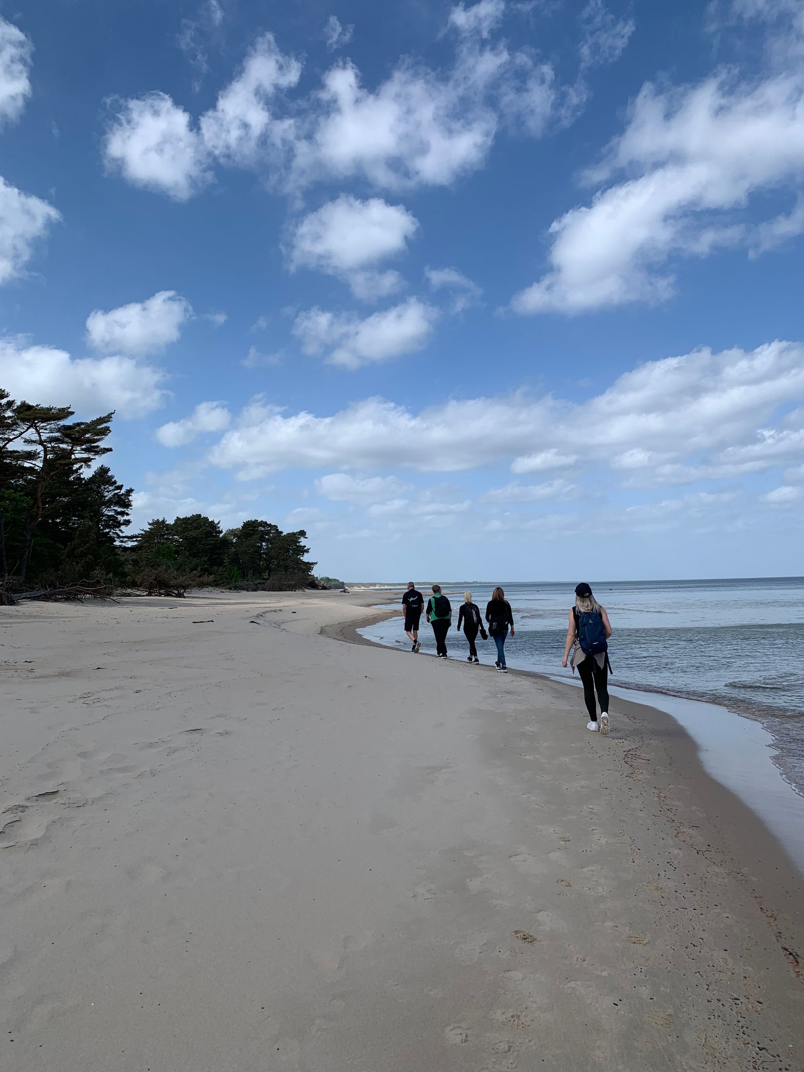 Tomt, Iris och Gurlis väg 8, Brösarp, Tomelilla