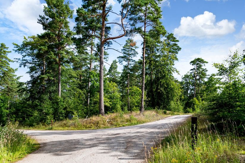 Tomt, Iris och Gurlis väg 16, Brösarps Backar, Tomelilla