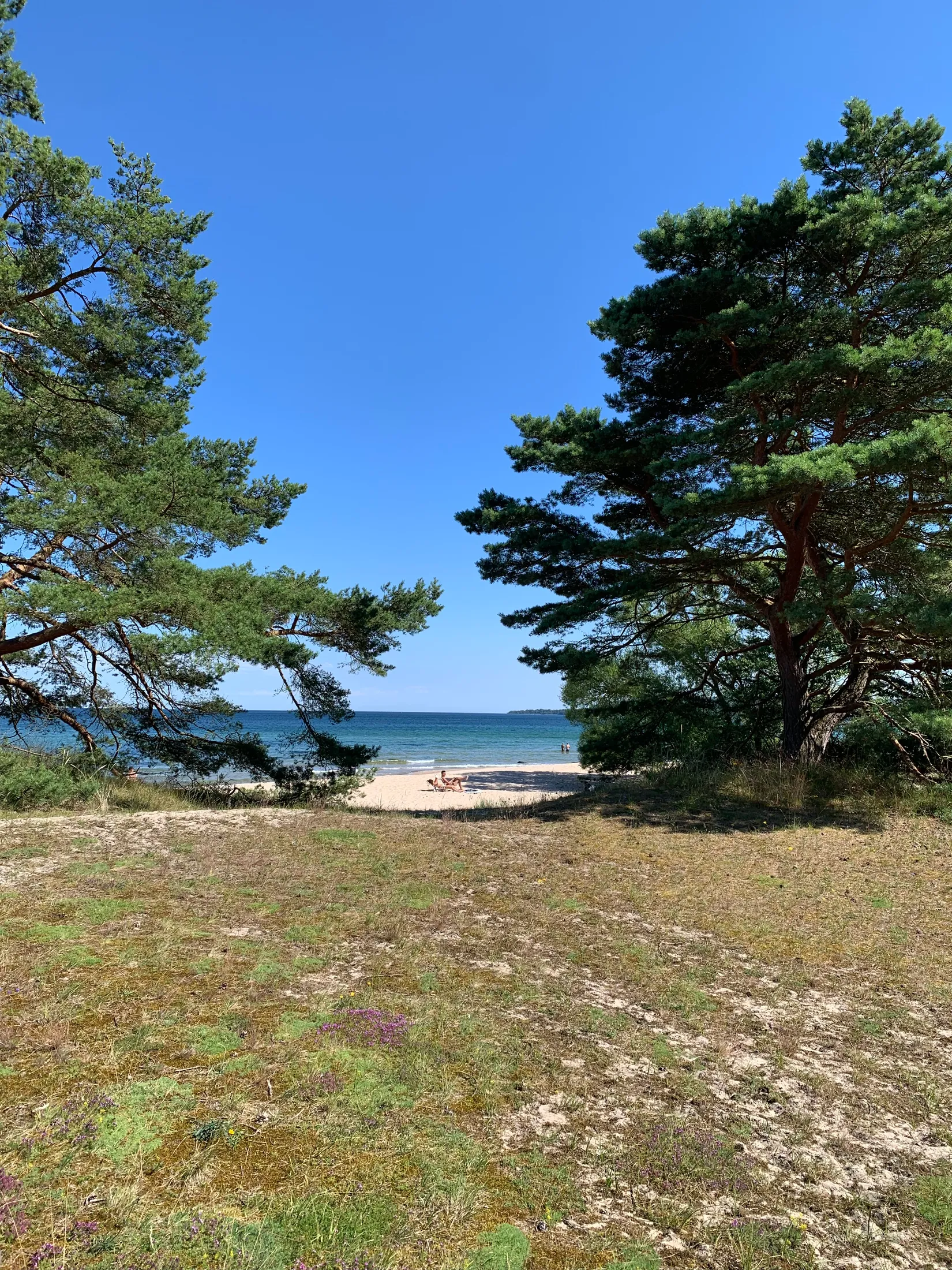 Tomt, Iris och Gurlis väg 16, Brösarps Backar, Tomelilla