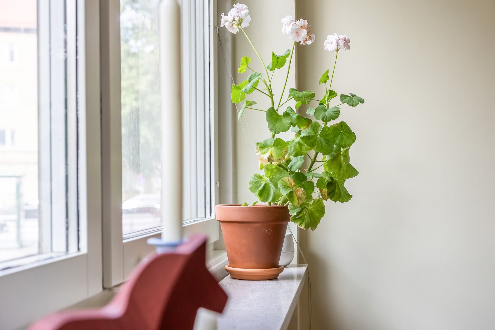 Bostadsrätt, Abbekåsgatan 8A, Malmö