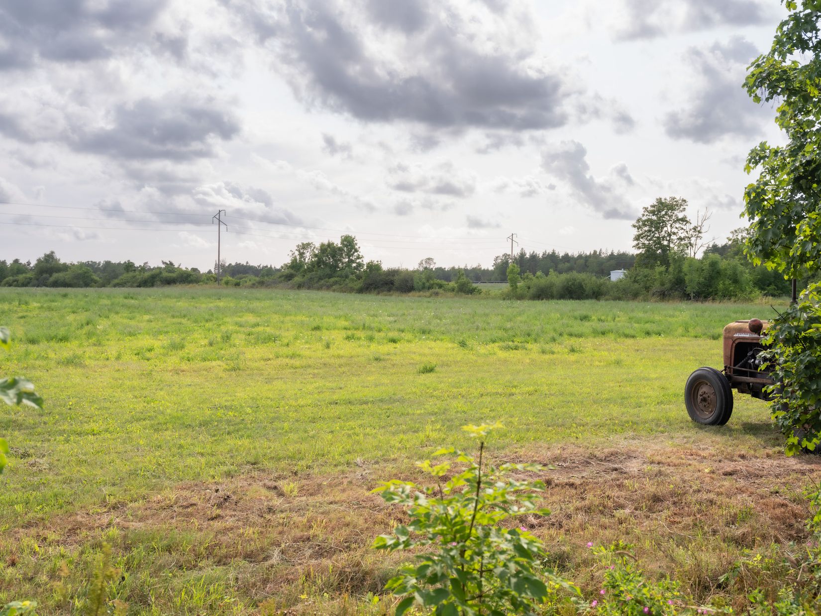 Gård/Skog, Kräklingbo Nygårds 142, Kräklingbo, Gotland