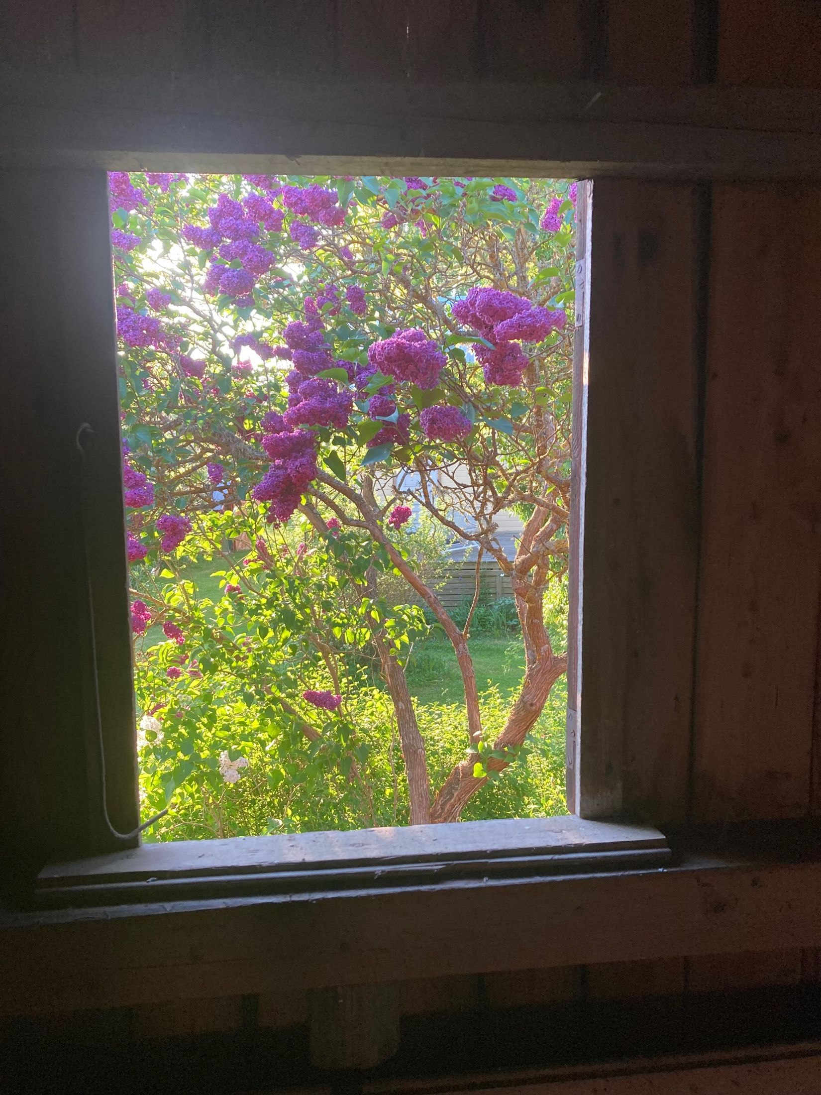 Gård/Skog, Kräklingbo Nygårds 142, Kräklingbo, Gotland