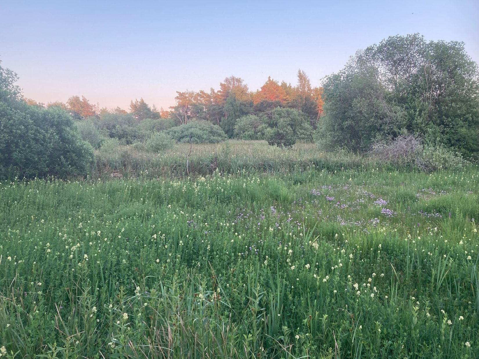 Gård/Skog, Kräklingbo Nygårds 142, Kräklingbo, Gotland