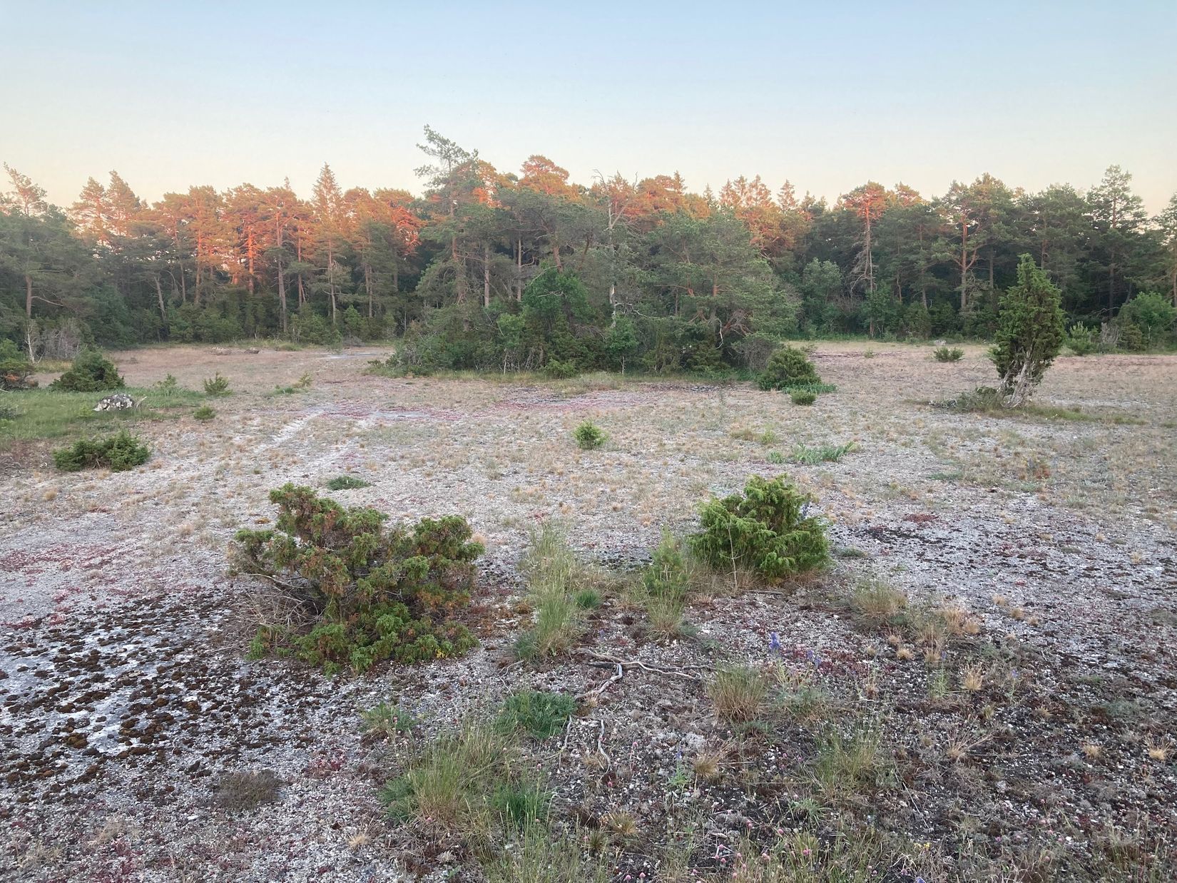 Gård/Skog, Kräklingbo Nygårds 142, Kräklingbo, Gotland