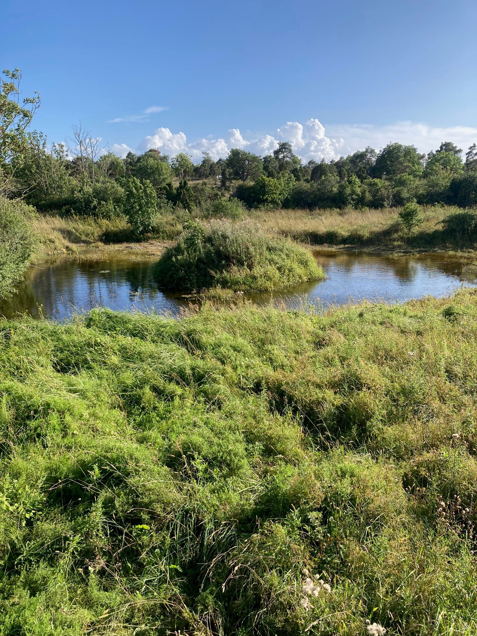 Gård/Skog, Kräklingbo Nygårds 142, Kräklingbo, Gotland