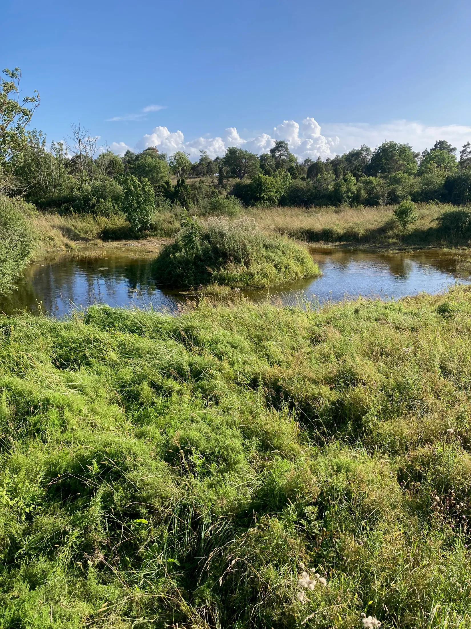 Gård/Skog, Kräklingbo Nygårds 142, Kräklingbo, Gotland