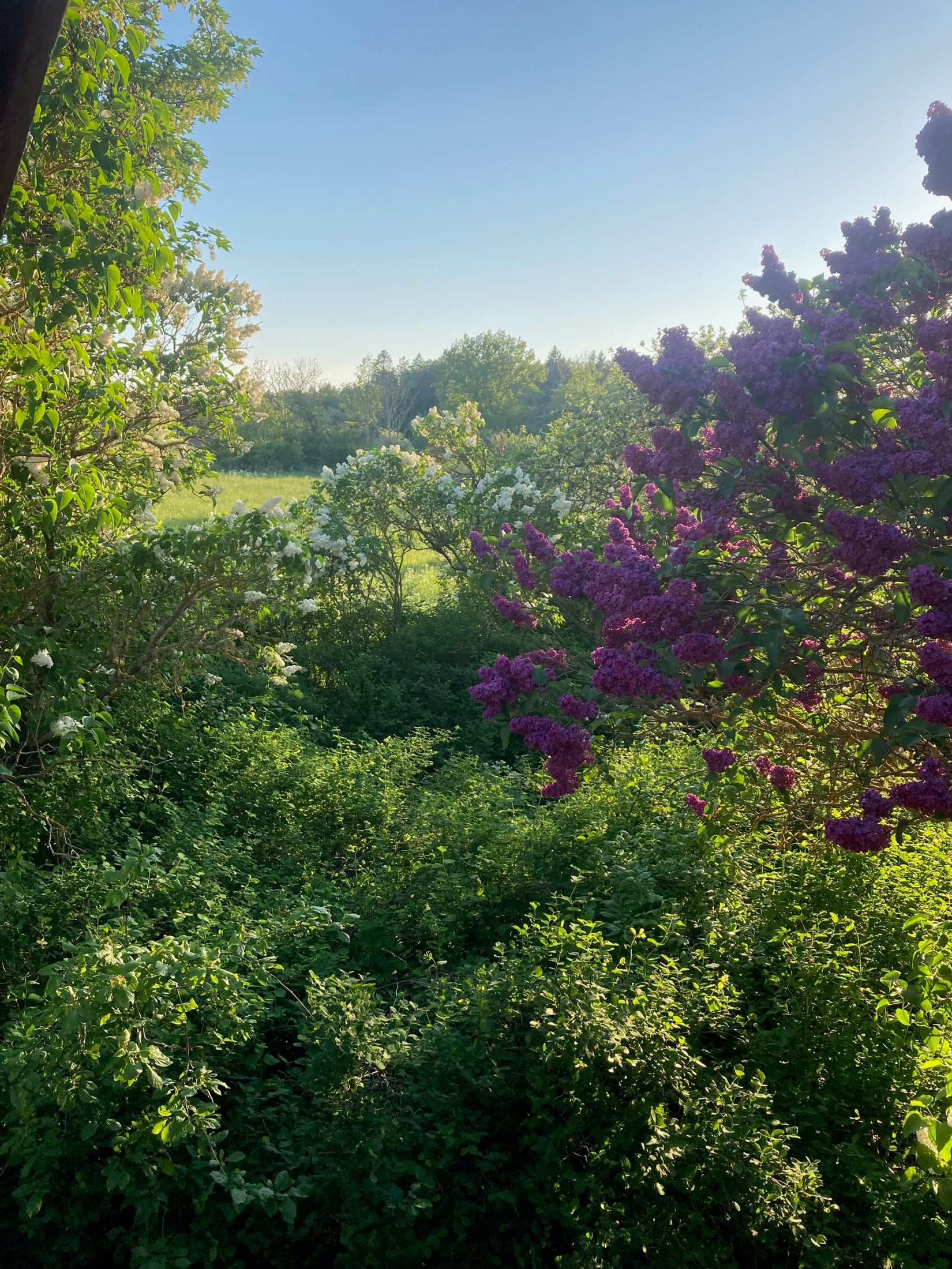 Gård/Skog, Kräklingbo Nygårds 142, Kräklingbo, Gotland