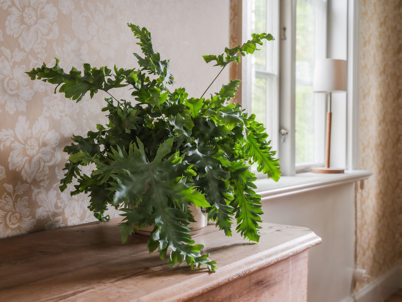 Gård/Skog, Kräklingbo Nygårds 142, Kräklingbo, Gotland