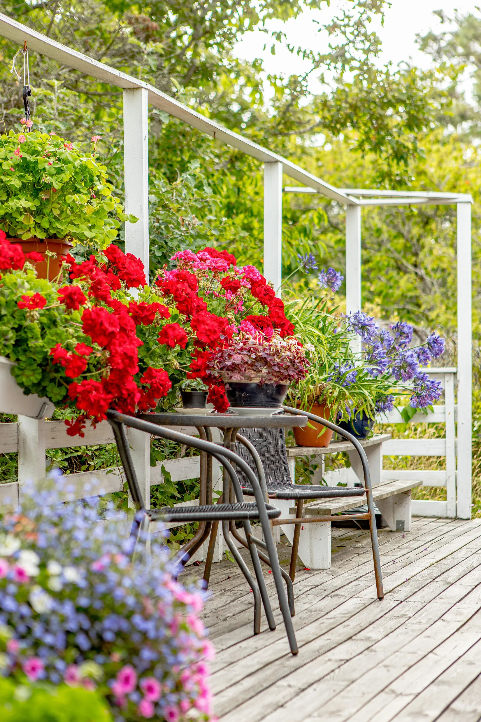 Fritidshus, Tuppstigen 12, Grimsholmen, Falkenberg