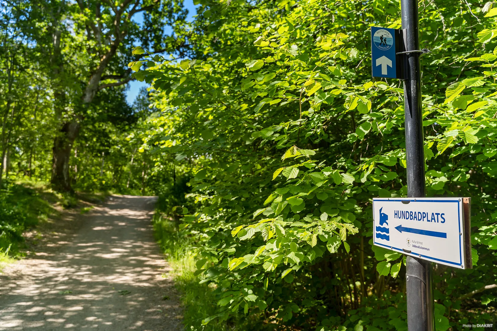 Tomt, Hässleröd 1:29, Uddevalla