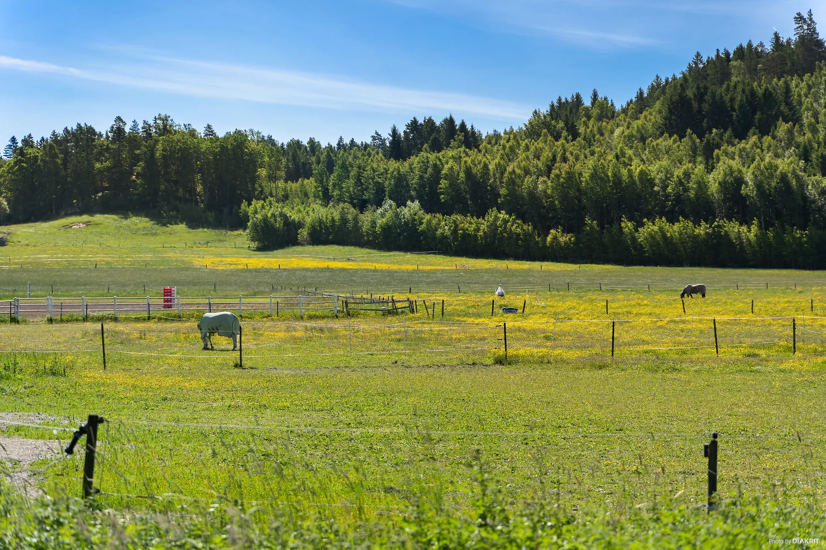 Tomt, Hässleröd 1:29 TOMT B, Uddevalla