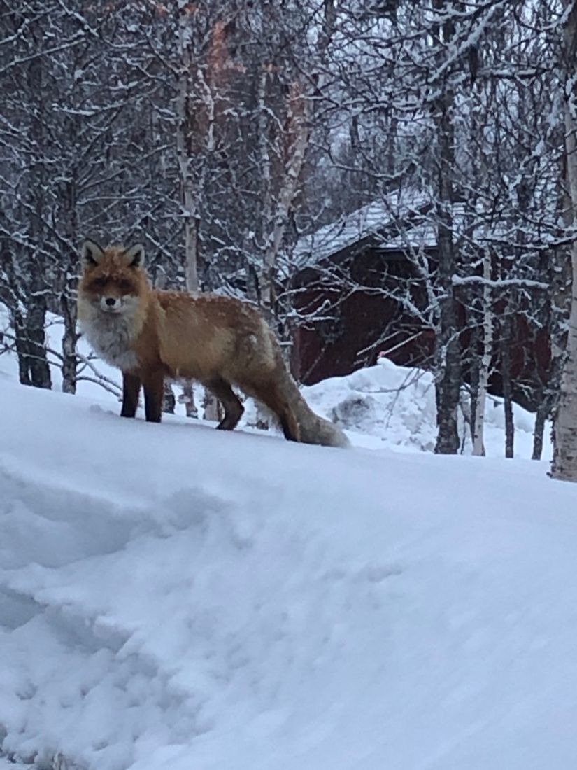 Fritidshus, Klinkvägen 18B, Härjedalen