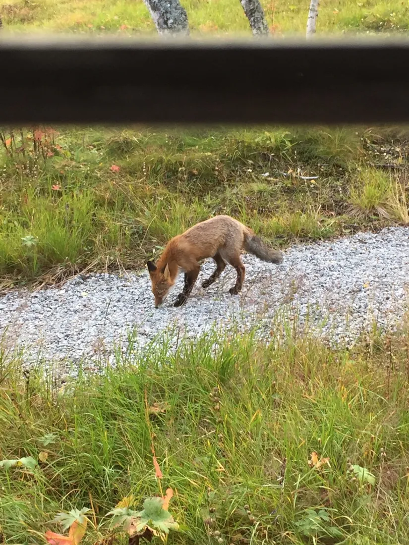 Fritidshus, Klinkvägen 18B, Härjedalen