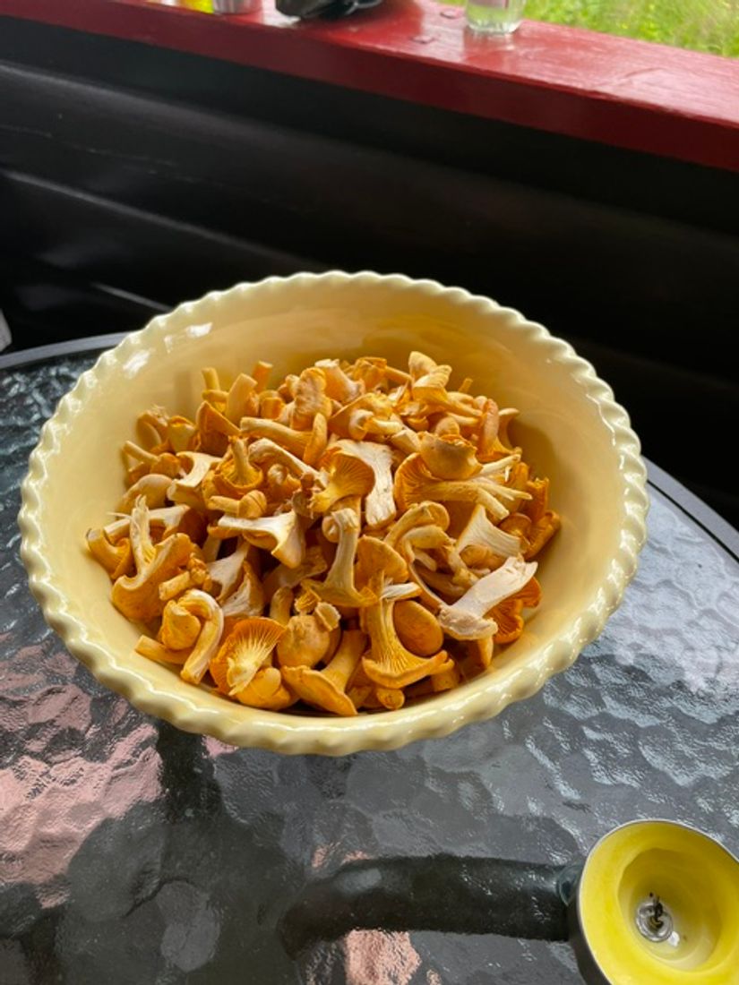 Fritidshus, Klinkvägen 18B, Härjedalen