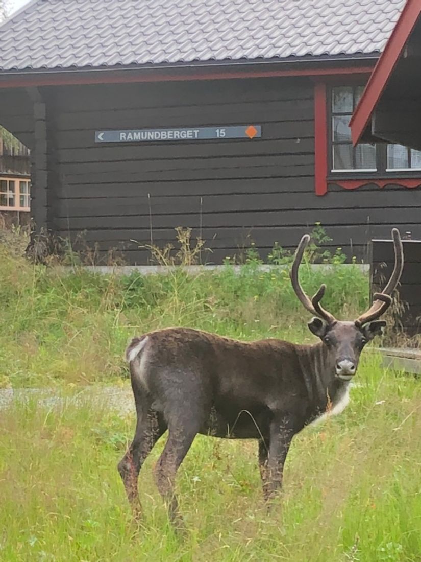 Fritidshus, Klinkvägen 18B, Härjedalen