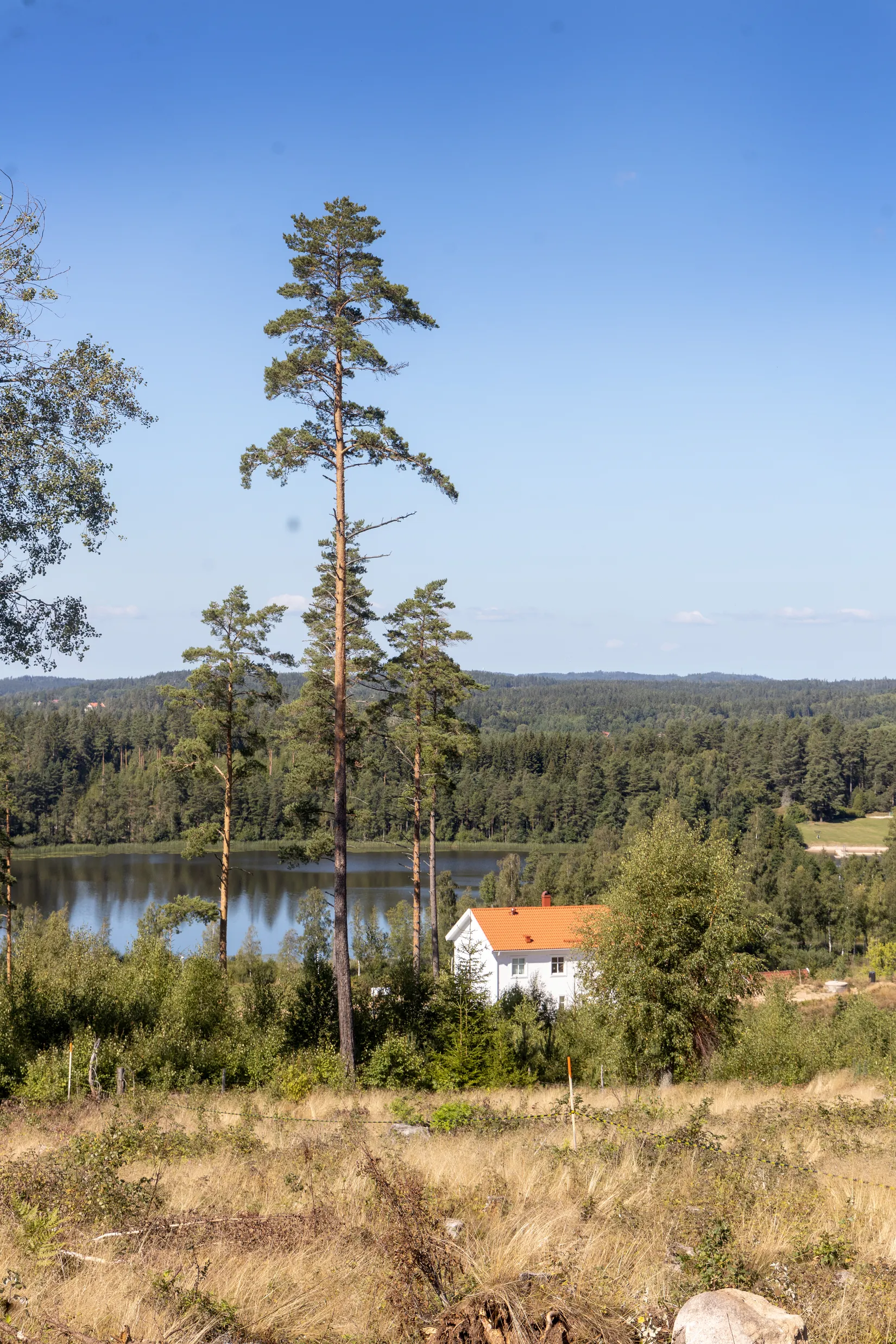Tomt, Uddebo - tomt 3, På landet, Jönköping