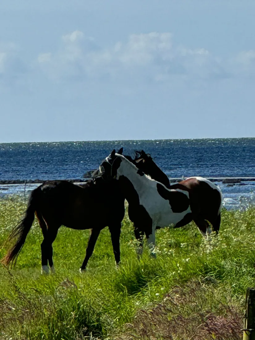 Fritidshus, Orranäs 443, Välkommen till Jämjö!, Karlskrona