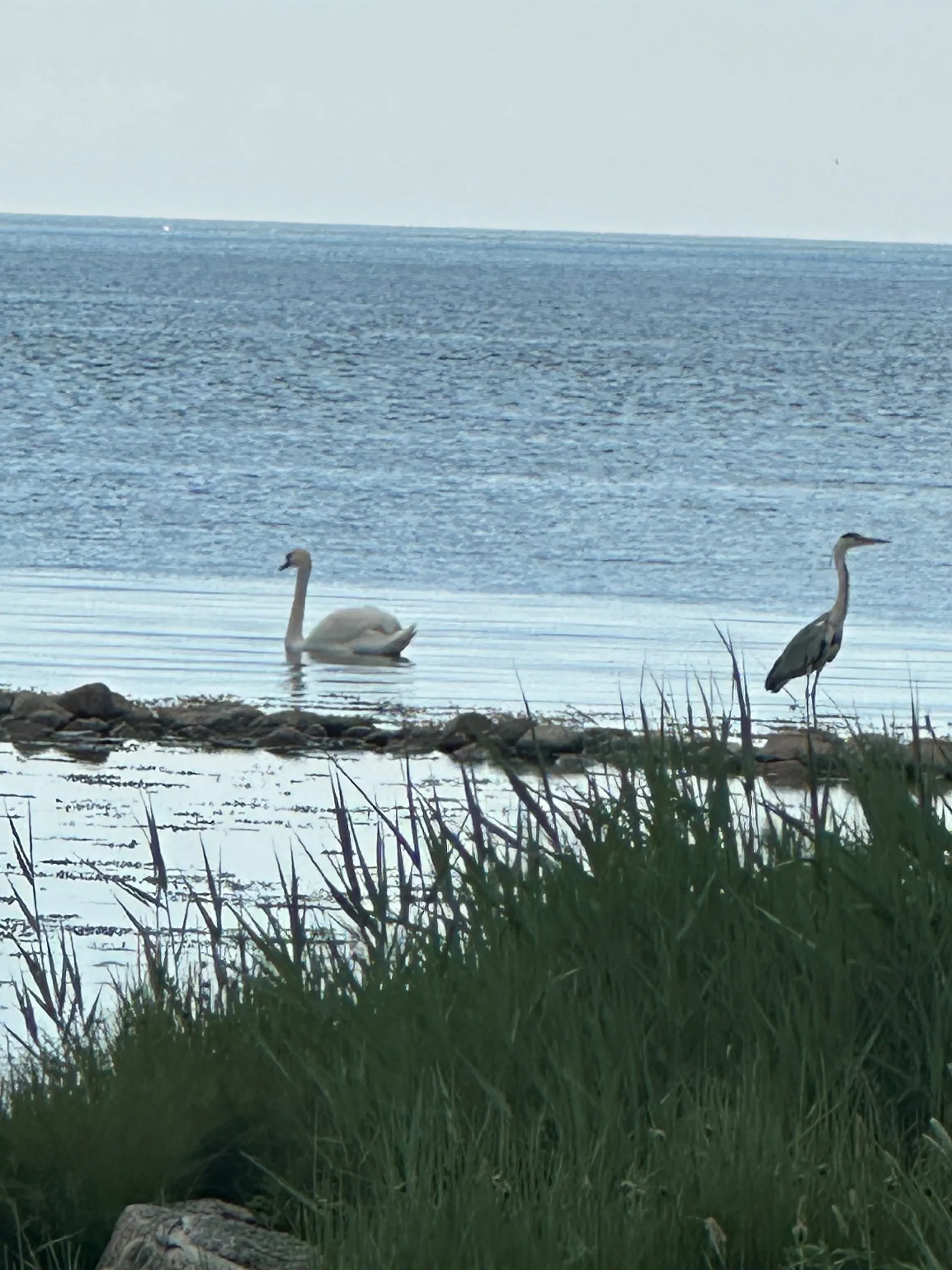 Fritidshus, Orranäs 443, Välkommen till Jämjö!, Karlskrona