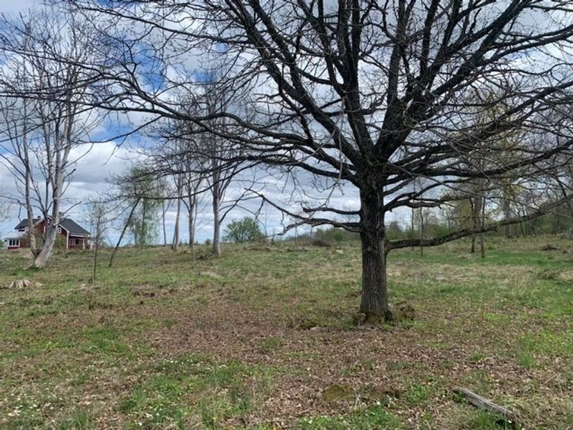 Tomt, HALLSBERG VÄSTRA SKRUKE 1:19, Skruke, Hallsberg