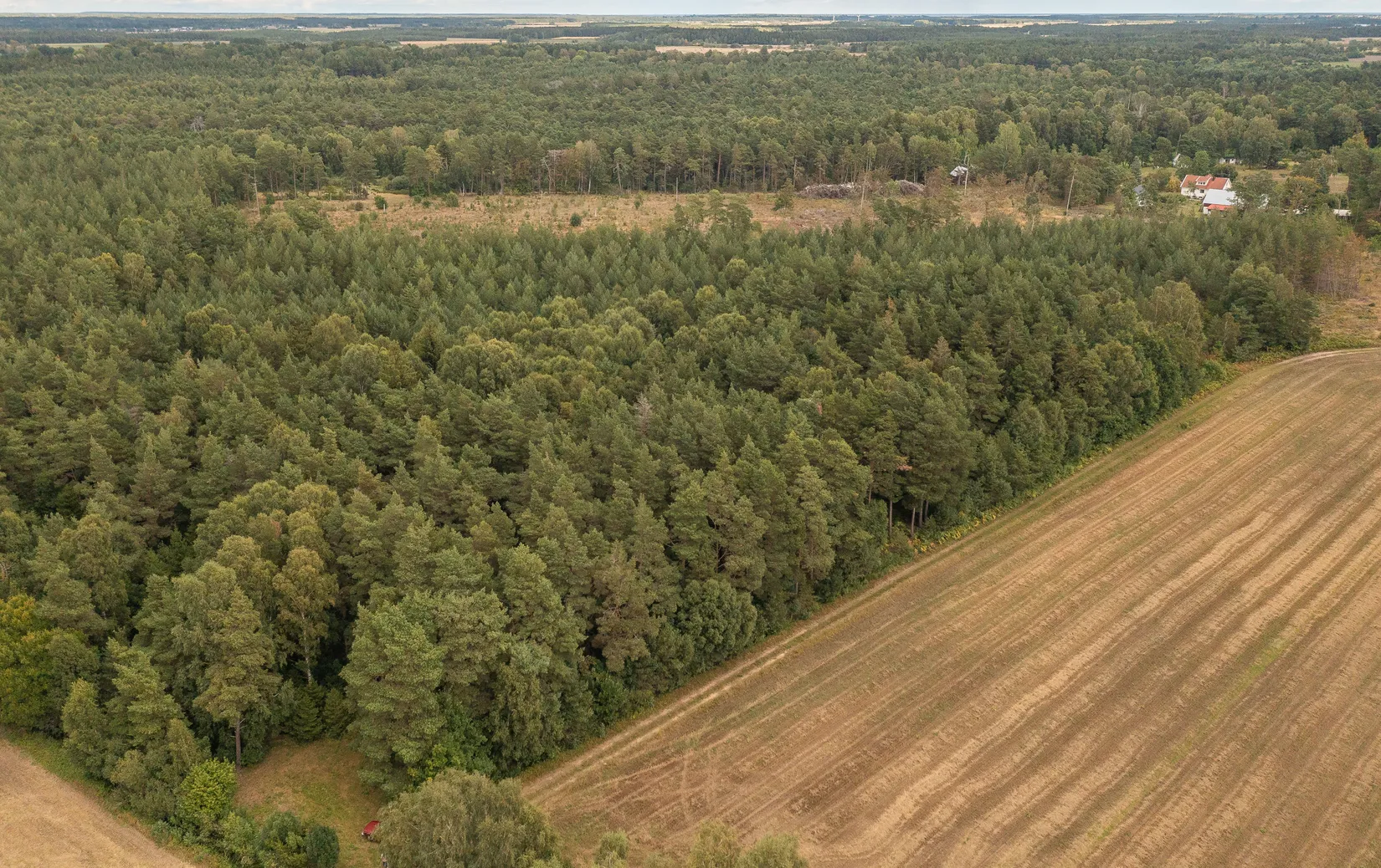 Tomt, Burs Ganne 1:32, Gotland