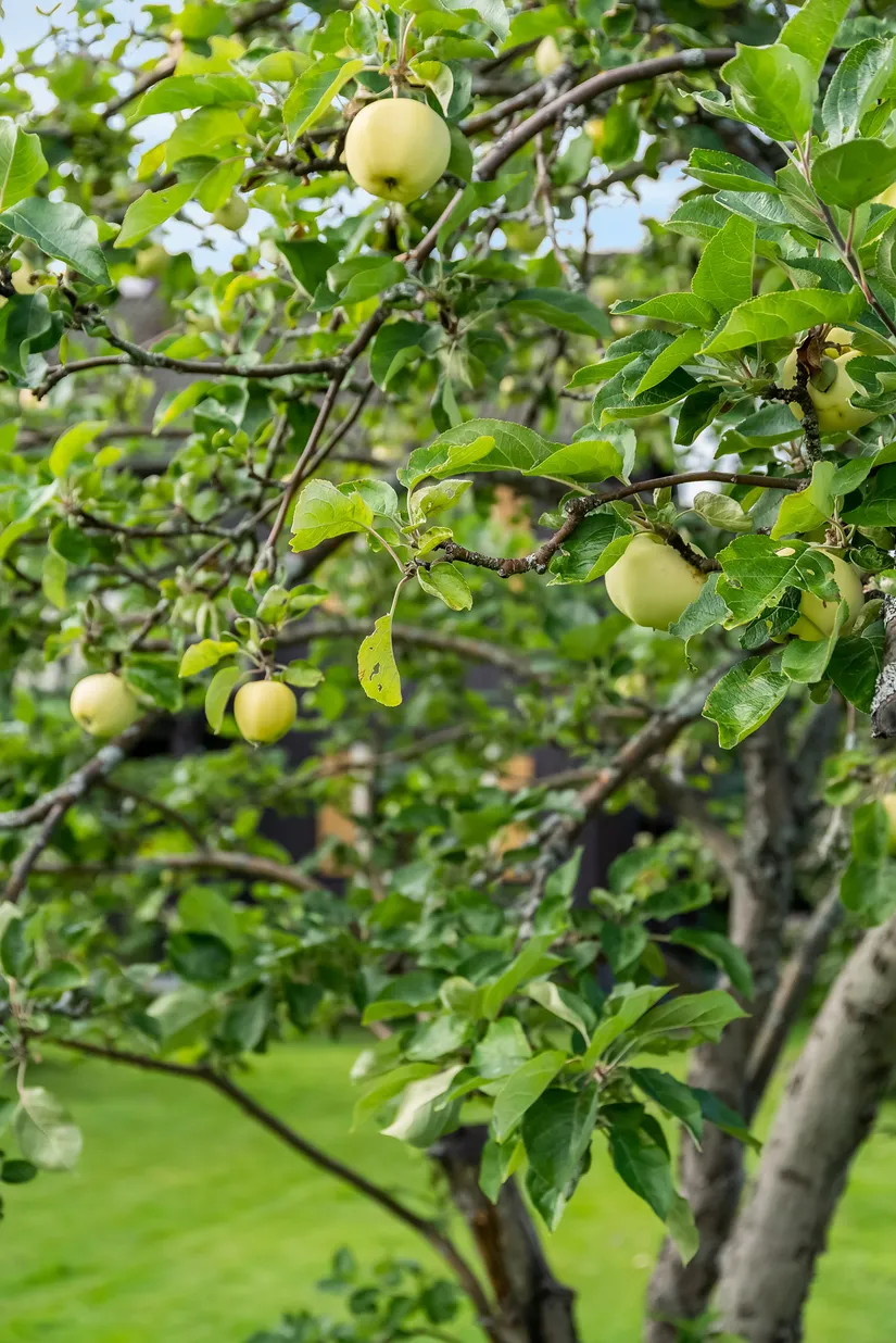 Villa, Bohmgatan 22, Lerdal, Rättvik