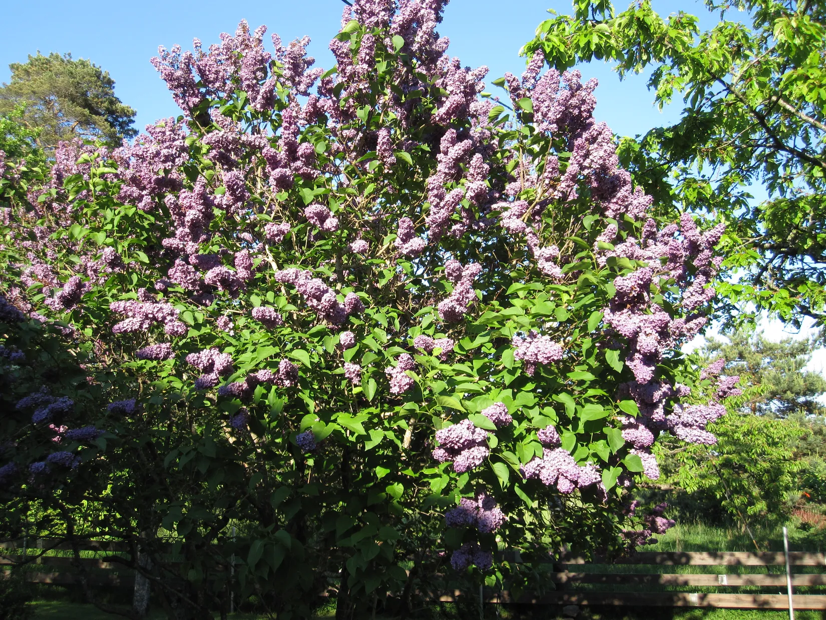 Villa, Gängletorpsvägen 55, Gängletorp/Trumenäs, Karlskrona