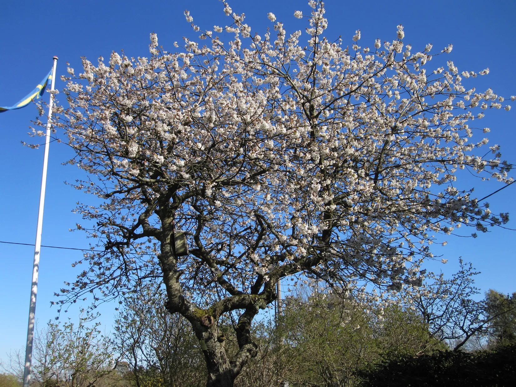 Villa, Gängletorpsvägen 55, Gängletorp/Trumenäs, Karlskrona