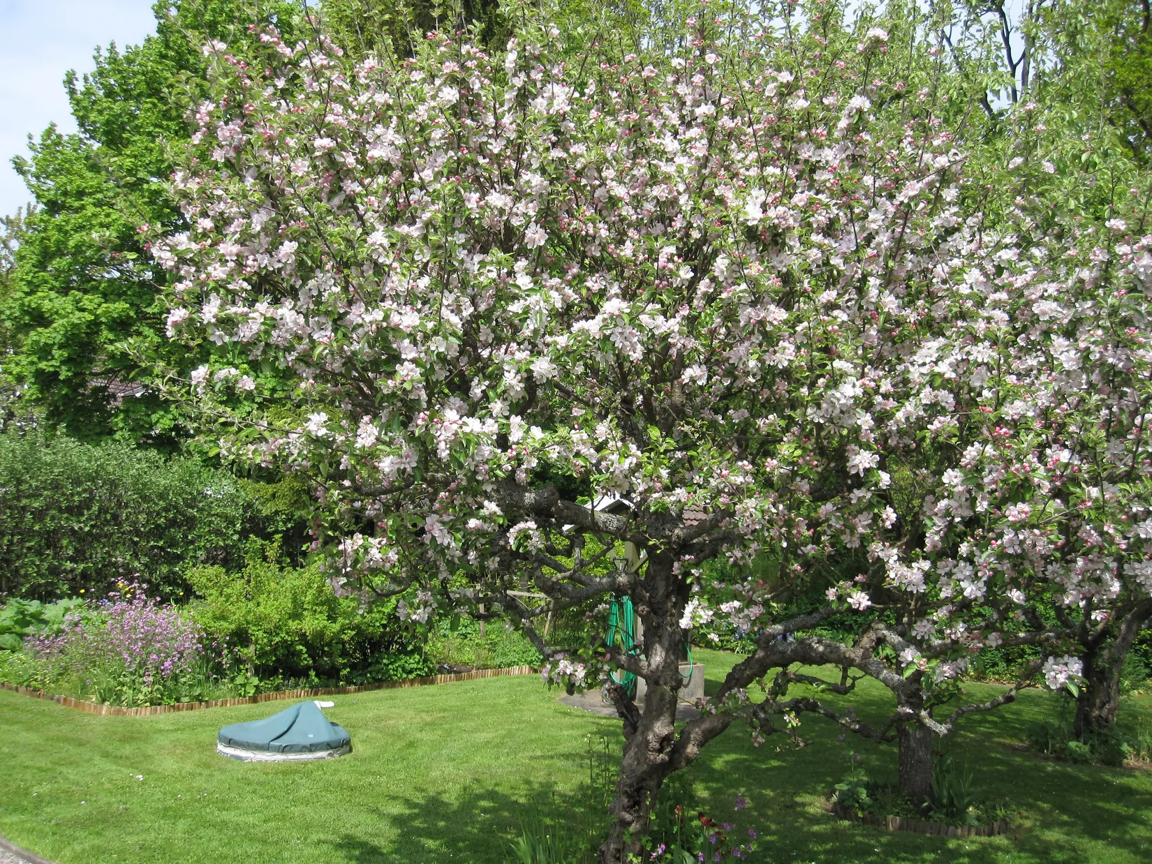 Villa, Gängletorpsvägen 55, Gängletorp/Trumenäs, Karlskrona