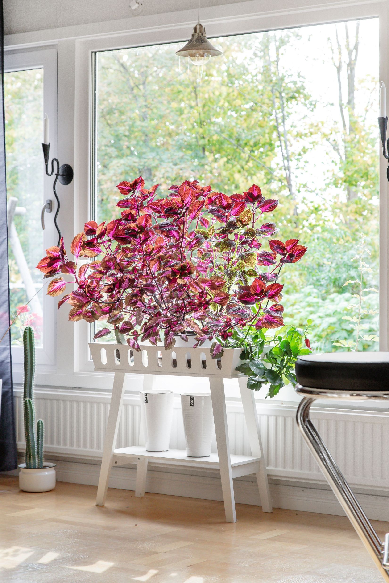 Villa, Breda vägen 13, Rödsle, Oskarshamn