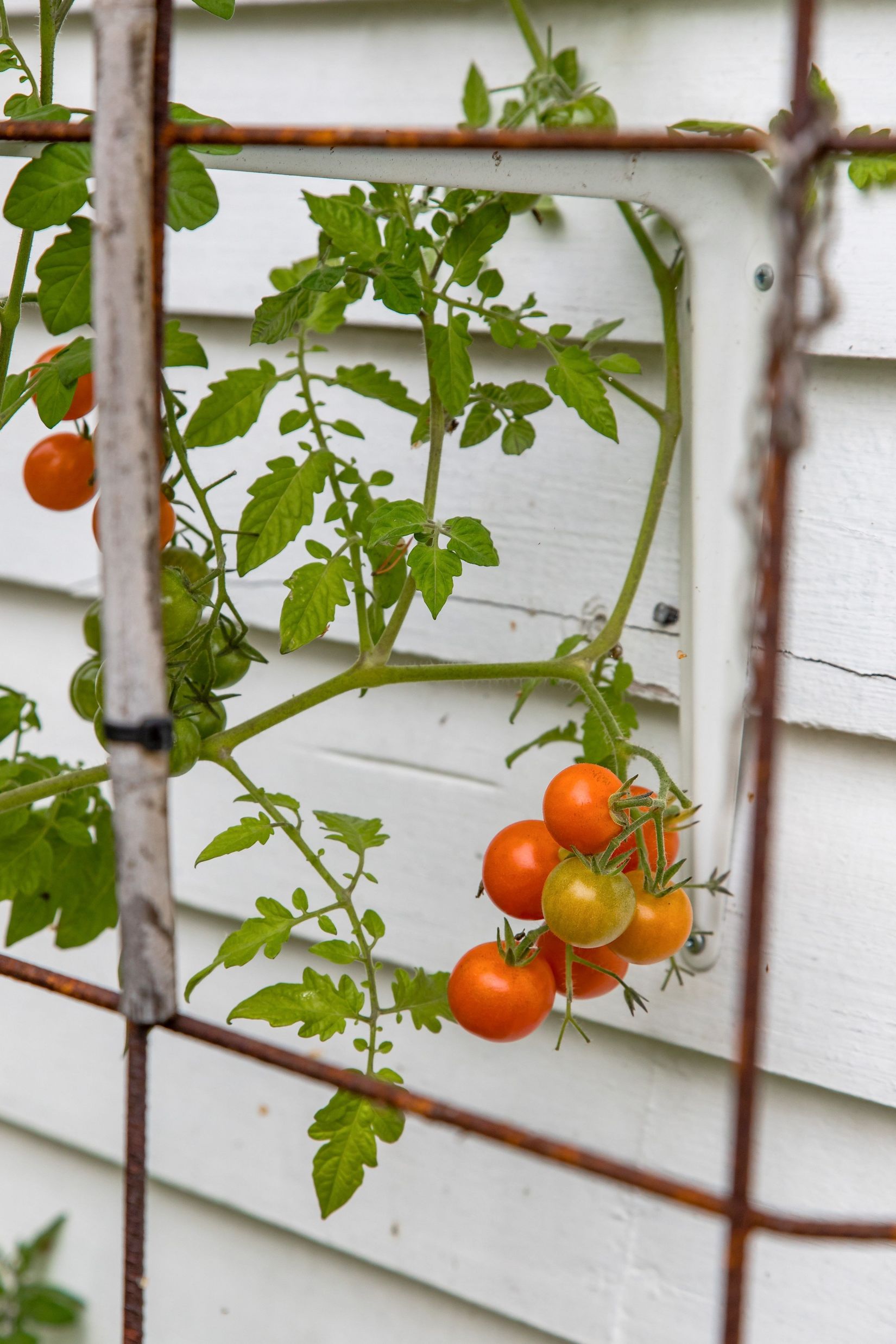 Villa, Breda vägen 13, Rödsle, Oskarshamn