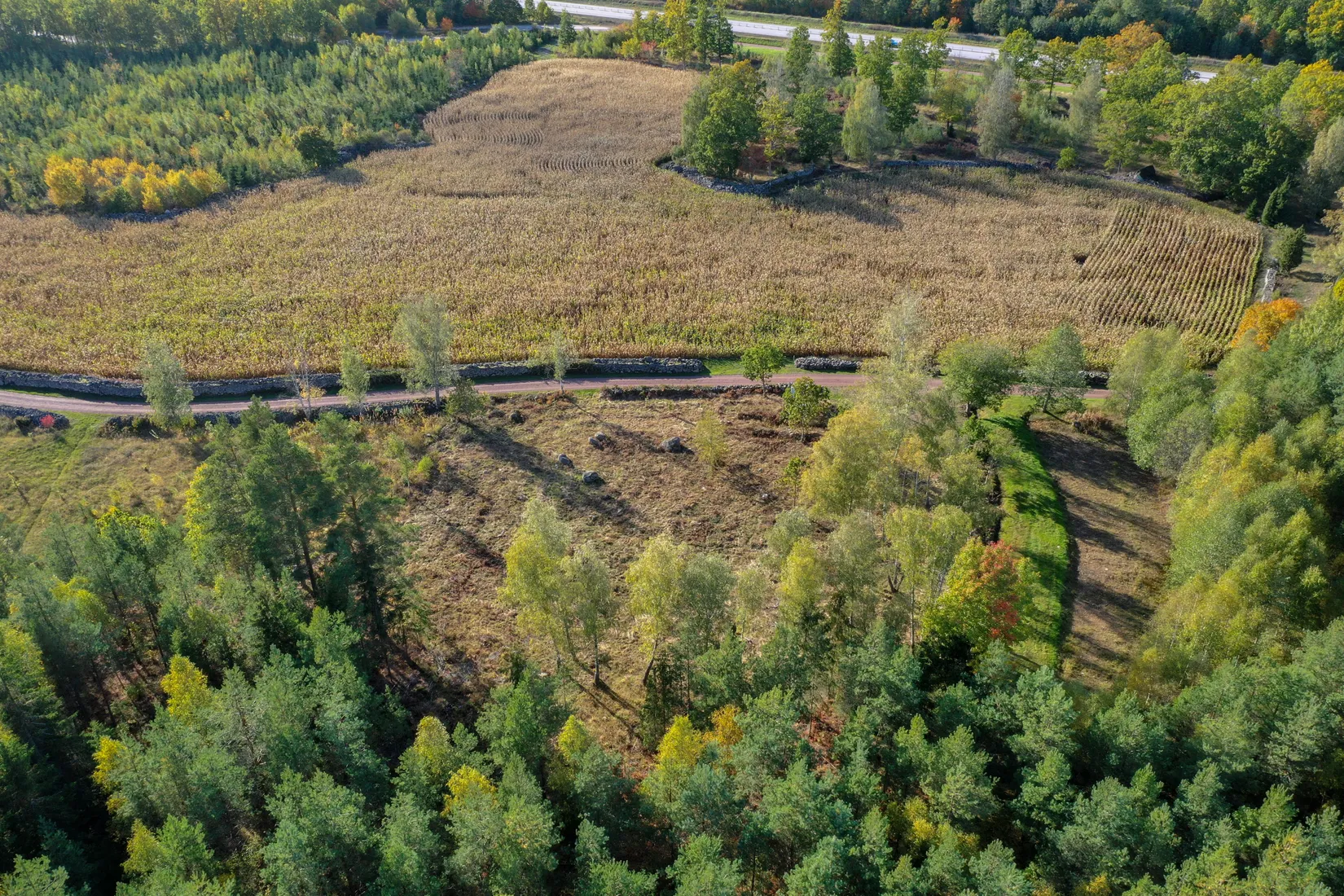 Tomt, Solberga., Ålem, Mönsterås