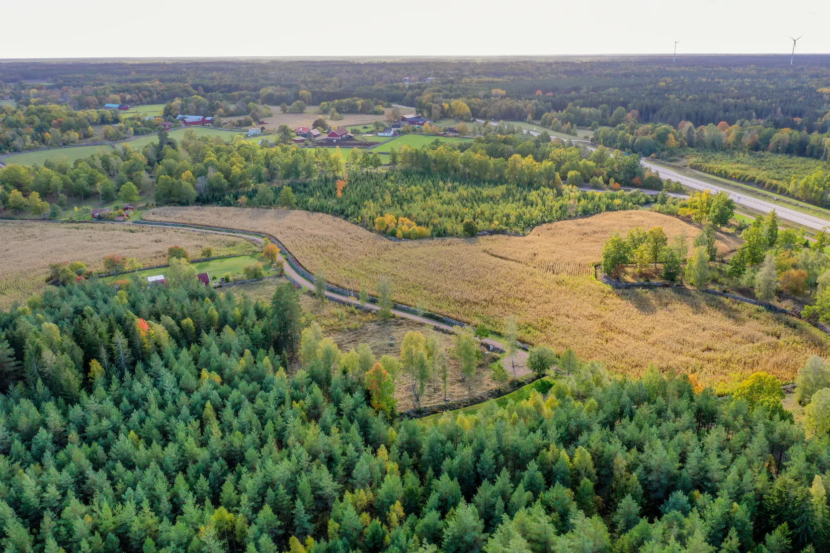 Tomt, Solberga., Ålem, Mönsterås