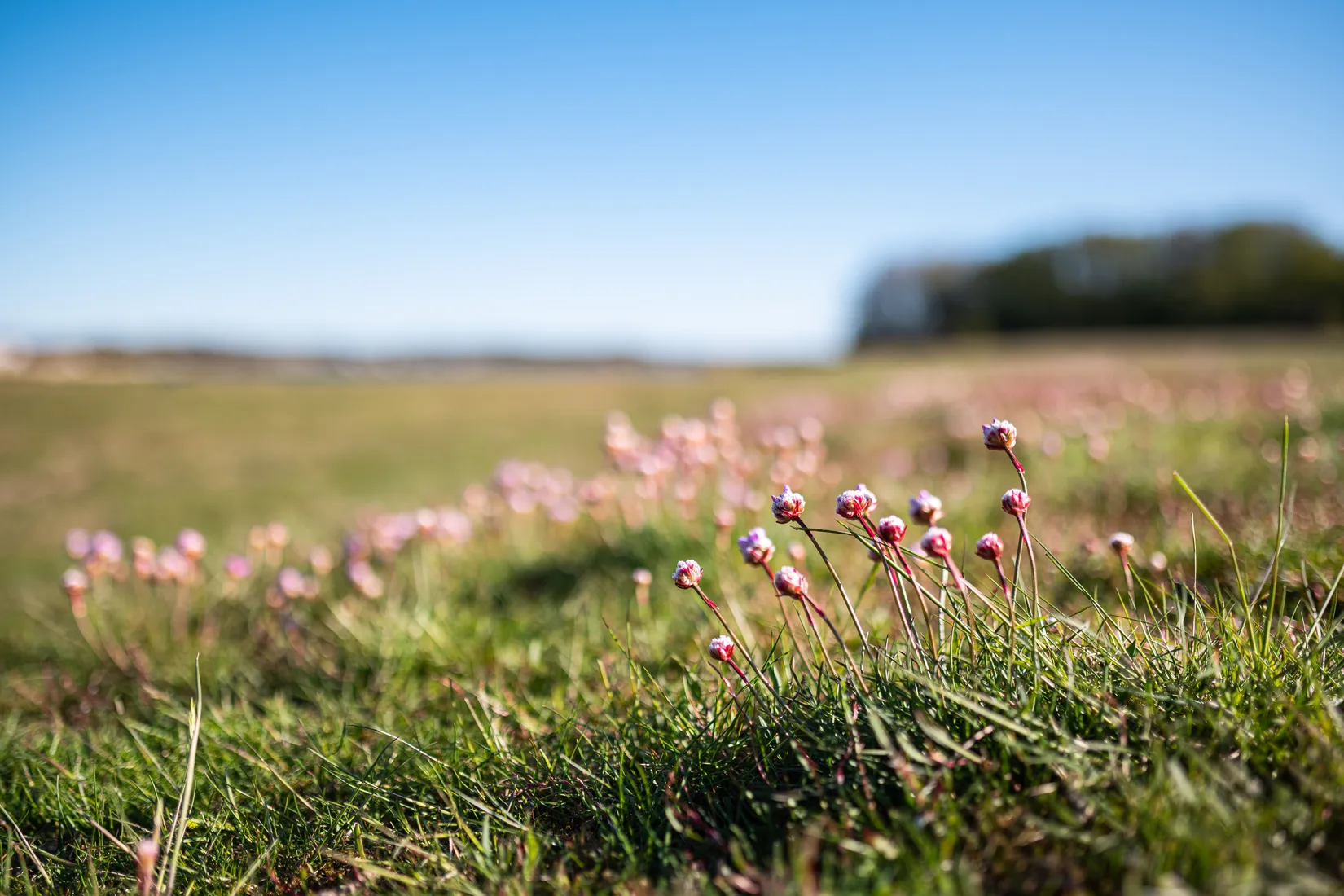 Bostadsrätt, Björklundavägen 8, Nya Hovås, Göteborg