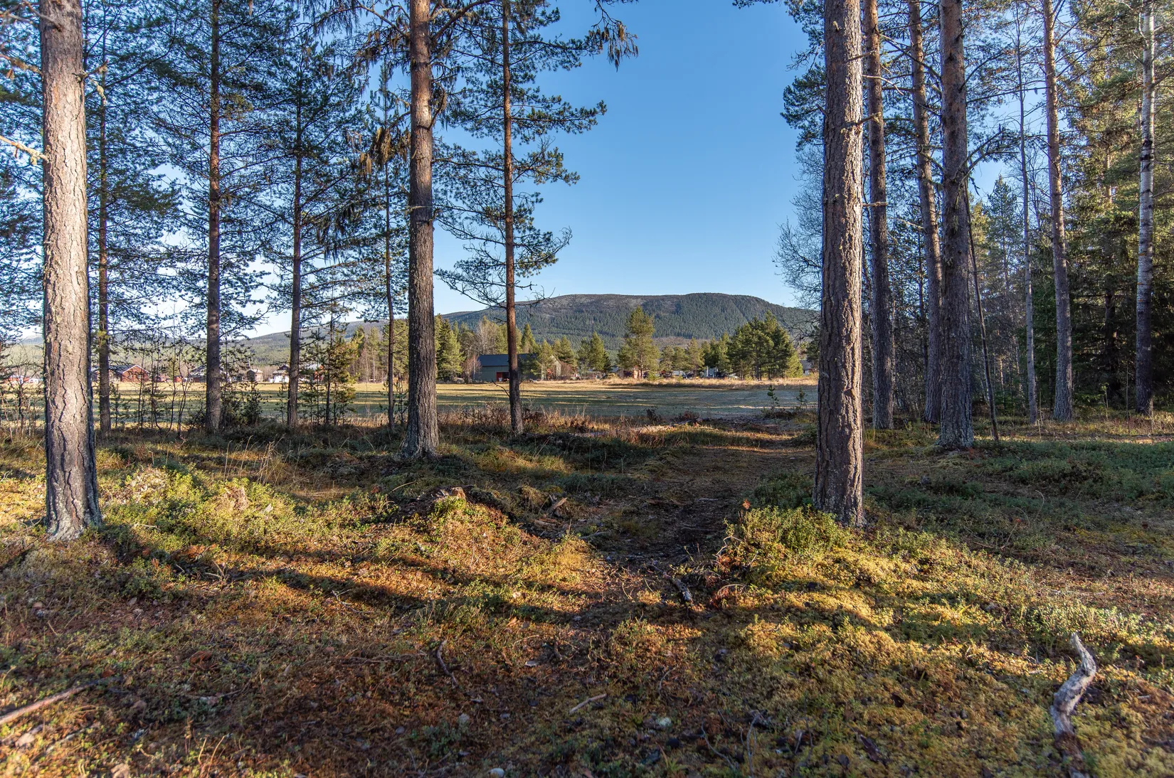 Tomt, Två tomter på Österlånggatan, Vemdalen, Härjedalen