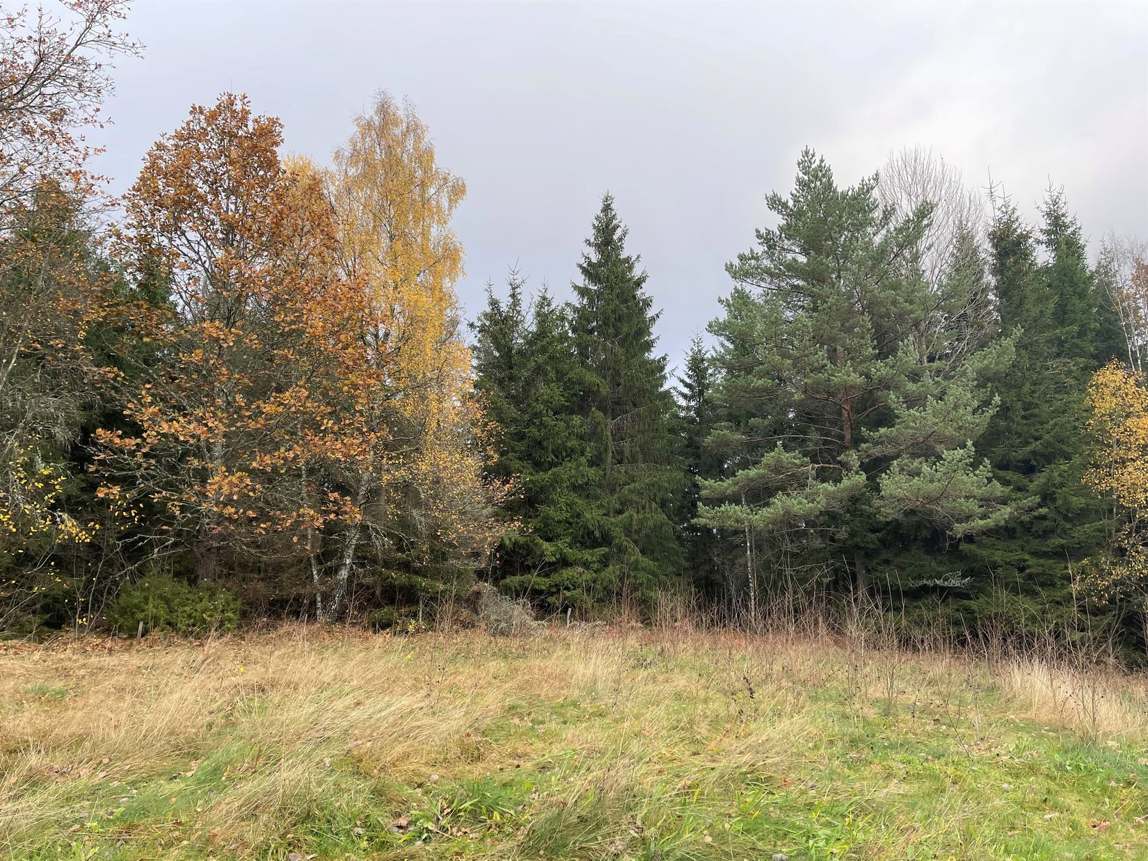 Tomt, Tokarp Fryebovägen 23, Gislaved