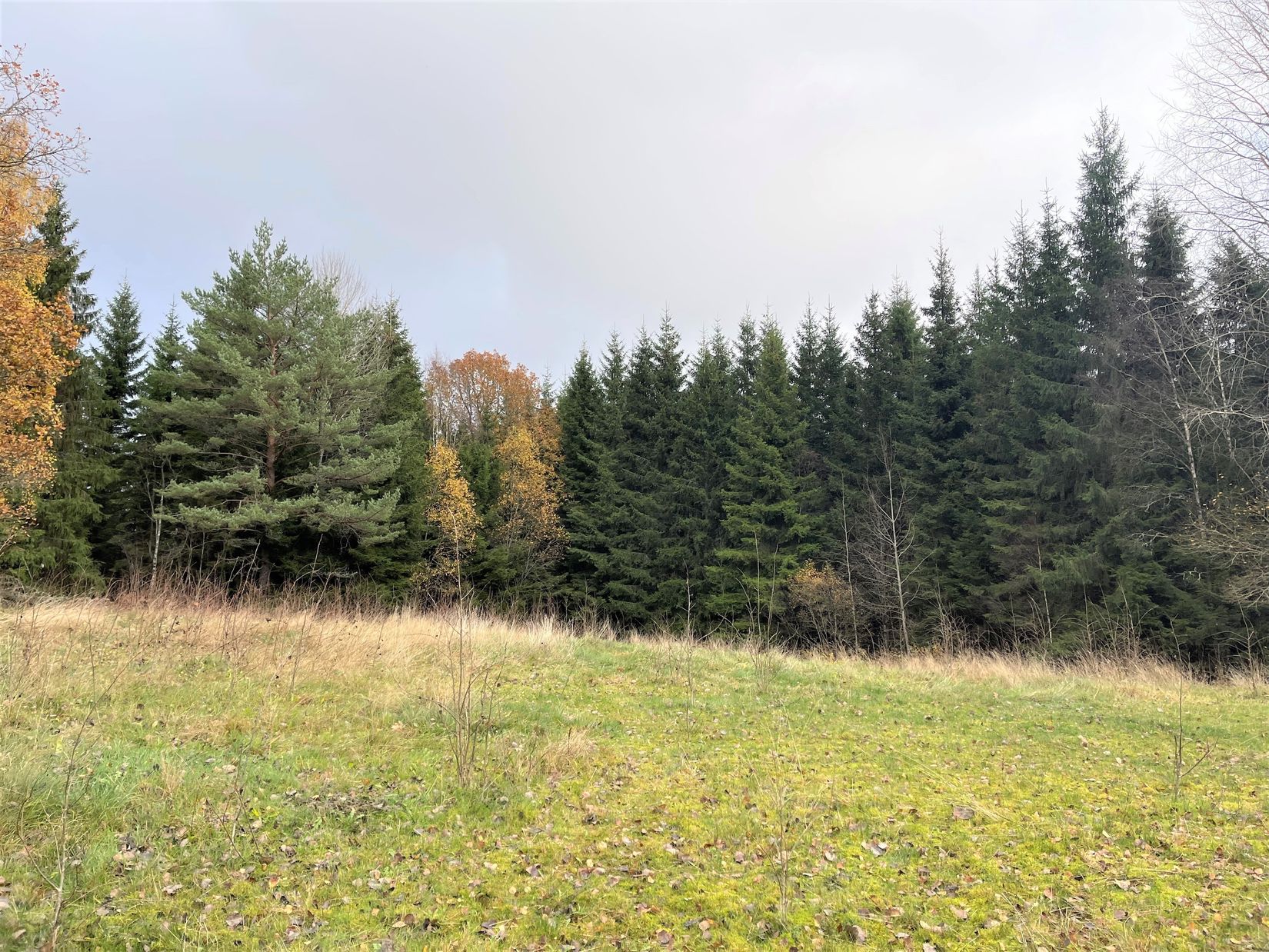 Tomt, Tokarp Fryebovägen 23, Gislaved