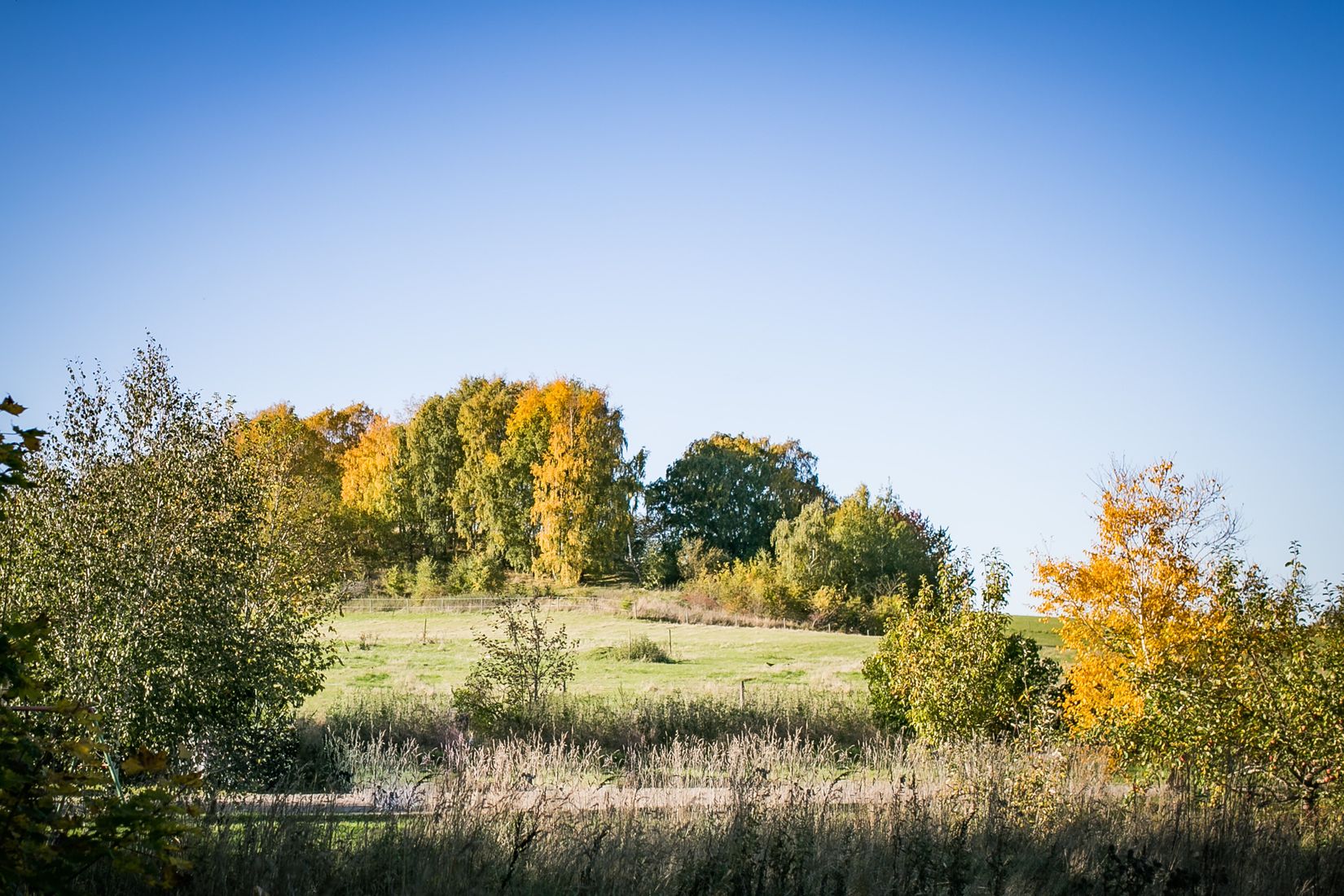 Tomt, N P Skölds väg 11B, Toarp, Malmö