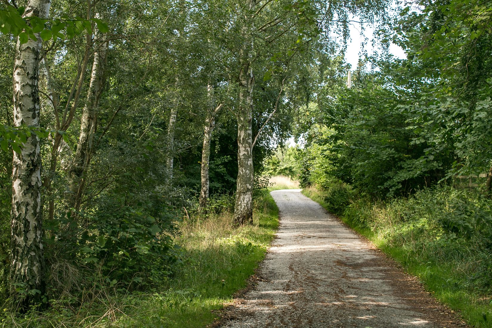 Tomt, N P Skölds väg 11B, Toarp, Malmö