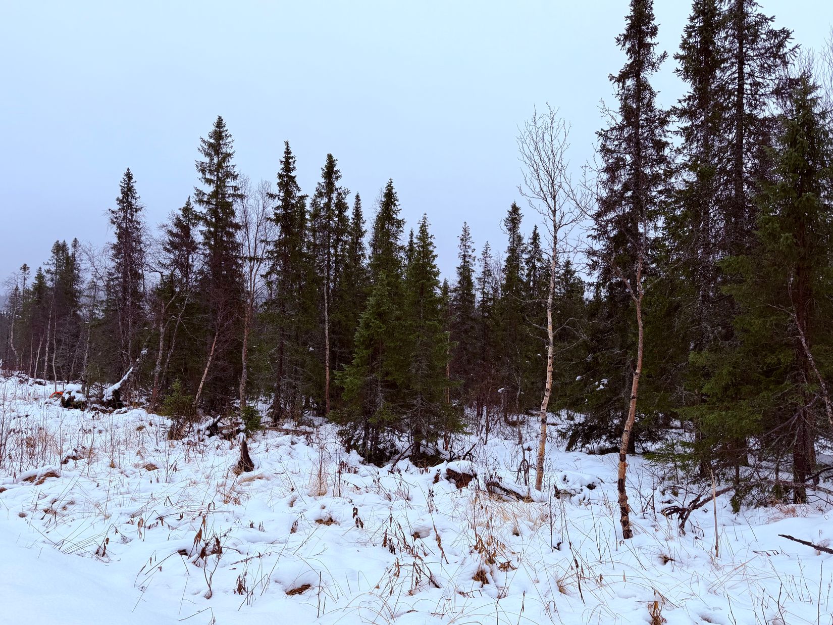 Tomt, Bengt-Eriksvägen 9, Kittelfjäll, Vilhelmina