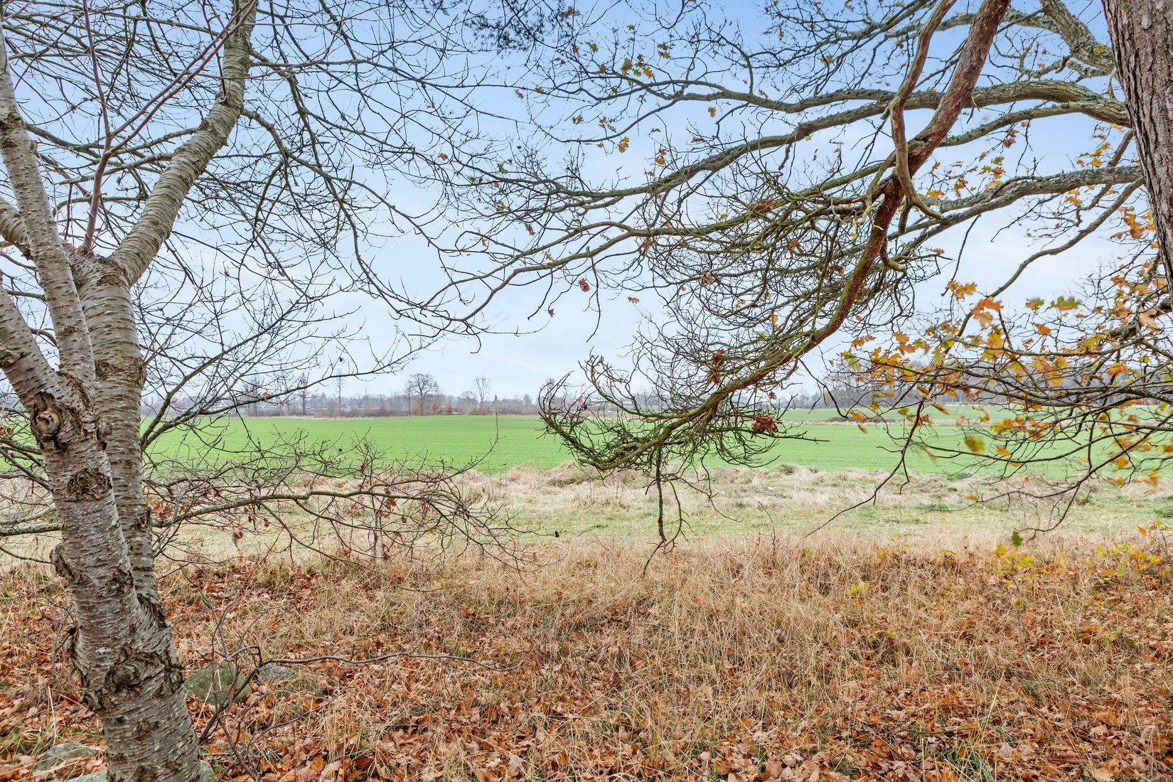 Övrigt, Tallmovägen 3, Djursvik, Torsås