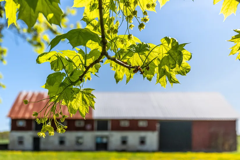 Villa, Väte Hassle 809, Väte, Gotland