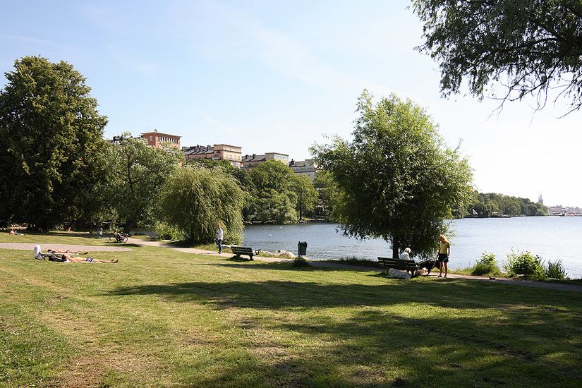 Bostadsrätt, Svarvargatan 8, 3 tr, Kungsholmen Fridhemsplan, Stockholm